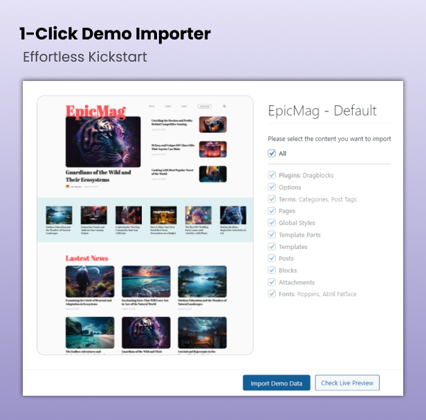 1-Click Demo Importer - Efflortless Kictstart