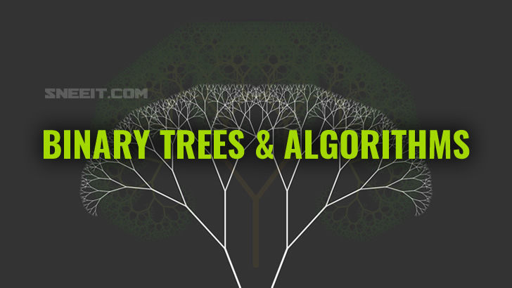 Binary Trees and Algorithms Feature Image