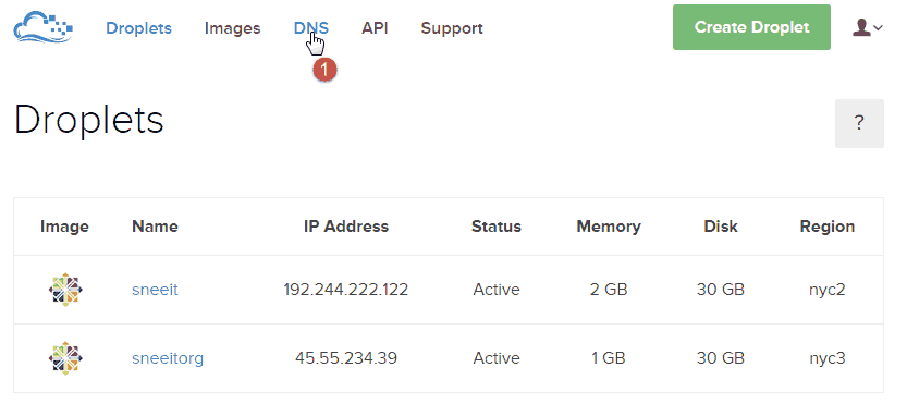 Droplet DNS dashboard - Install Nginx for WordPress on Digital Ocean VPS Hosting with Centminmod (LEMP)