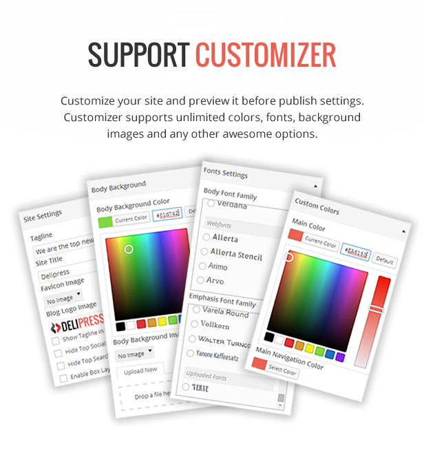 Customizer Support - Delipress - Magazine and Review WordPress Theme