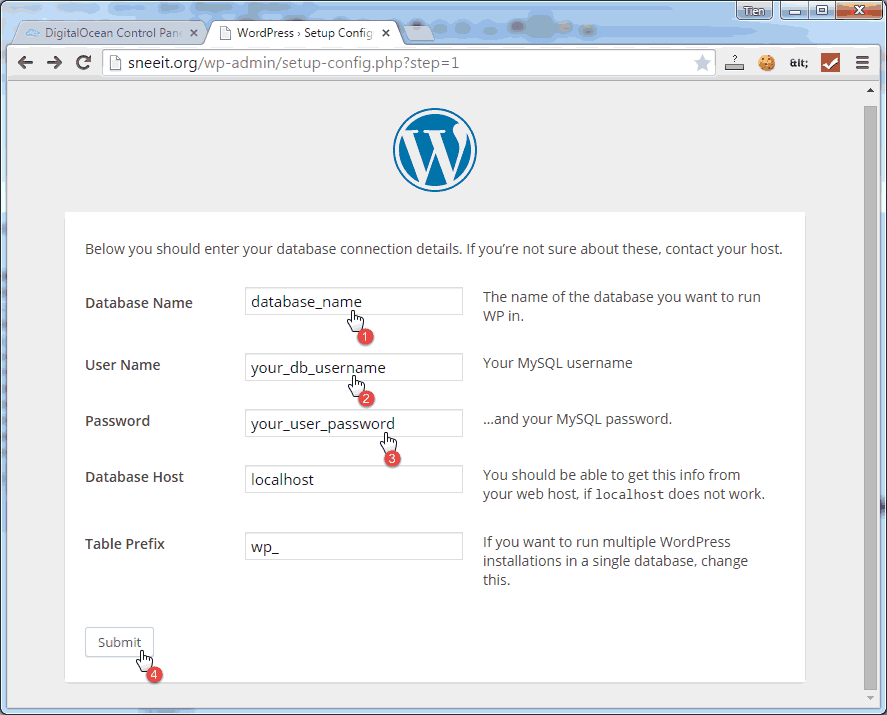 Wordpress Input Setup Information - Install Nginx for WordPress on Digital Ocean VPS Hosting with Centminmod (LEMP)